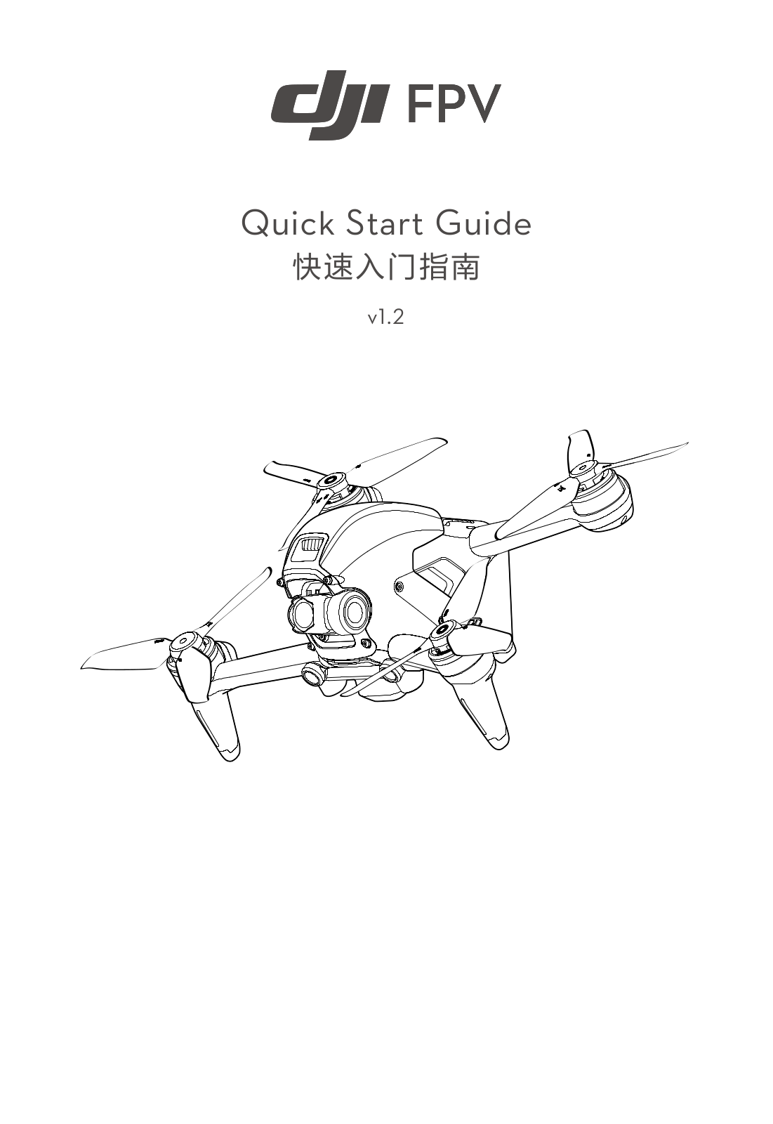 DJI FPV Quick Start Guide