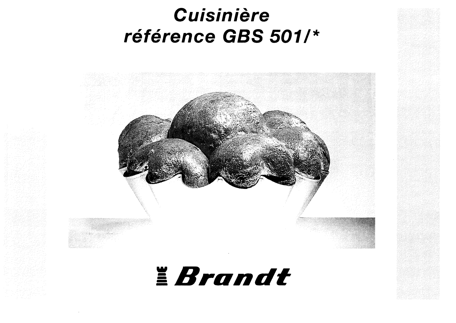 BRANDT GBS501 User Manual