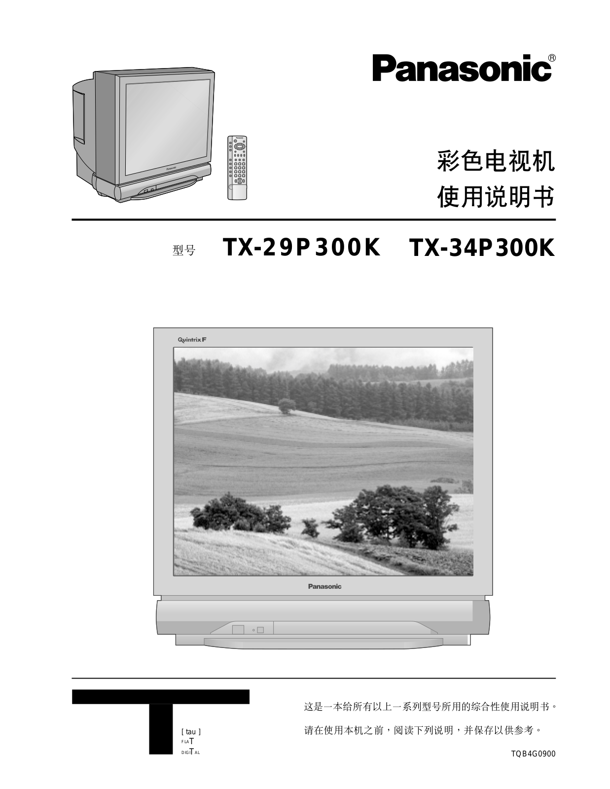 PANASONIC TX-29P300K User Manual