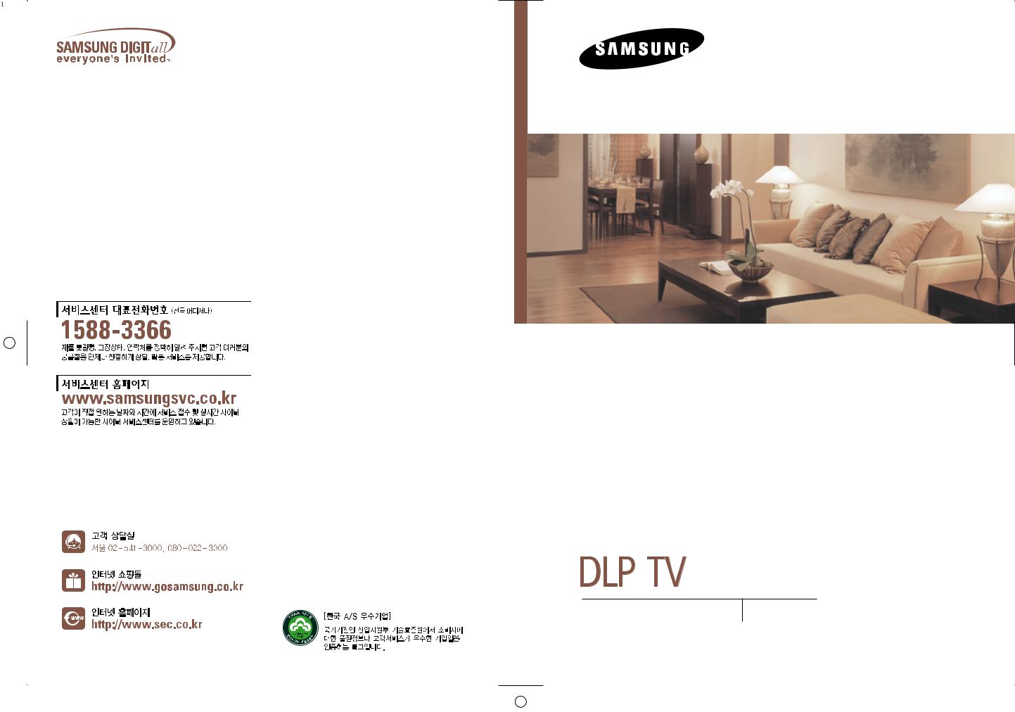 Samsung SVP-67L6X User Manual