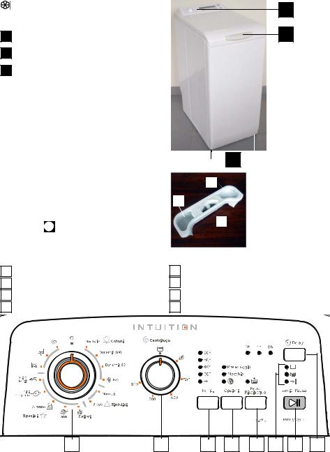 Rex RWT8129W User Manual