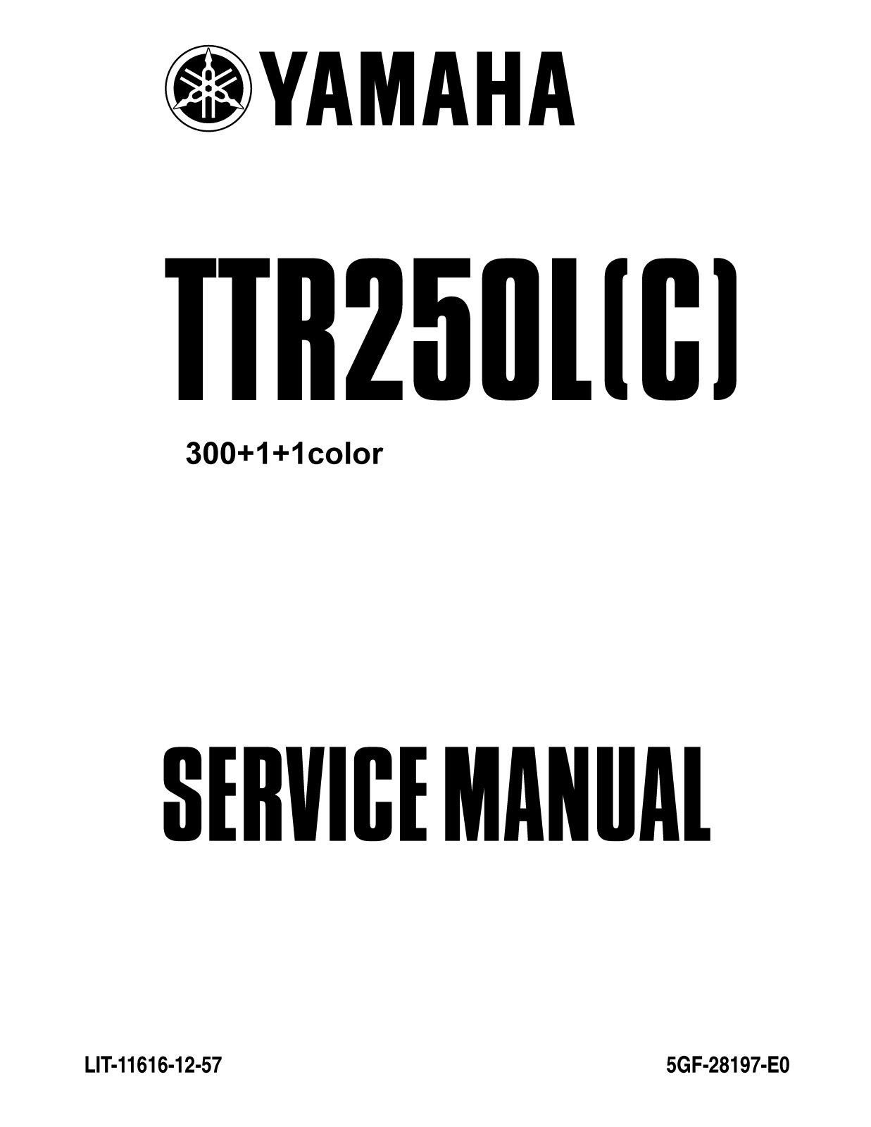 Yamaha TTR250L 1999 User Manual