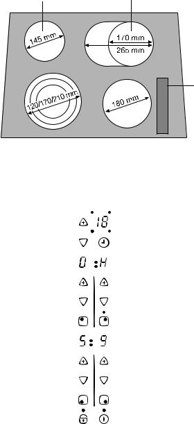 AEG EHS7691P User Manual