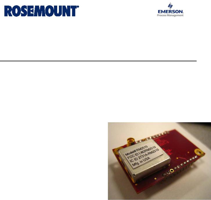 Rosemount RM2510 User Manual
