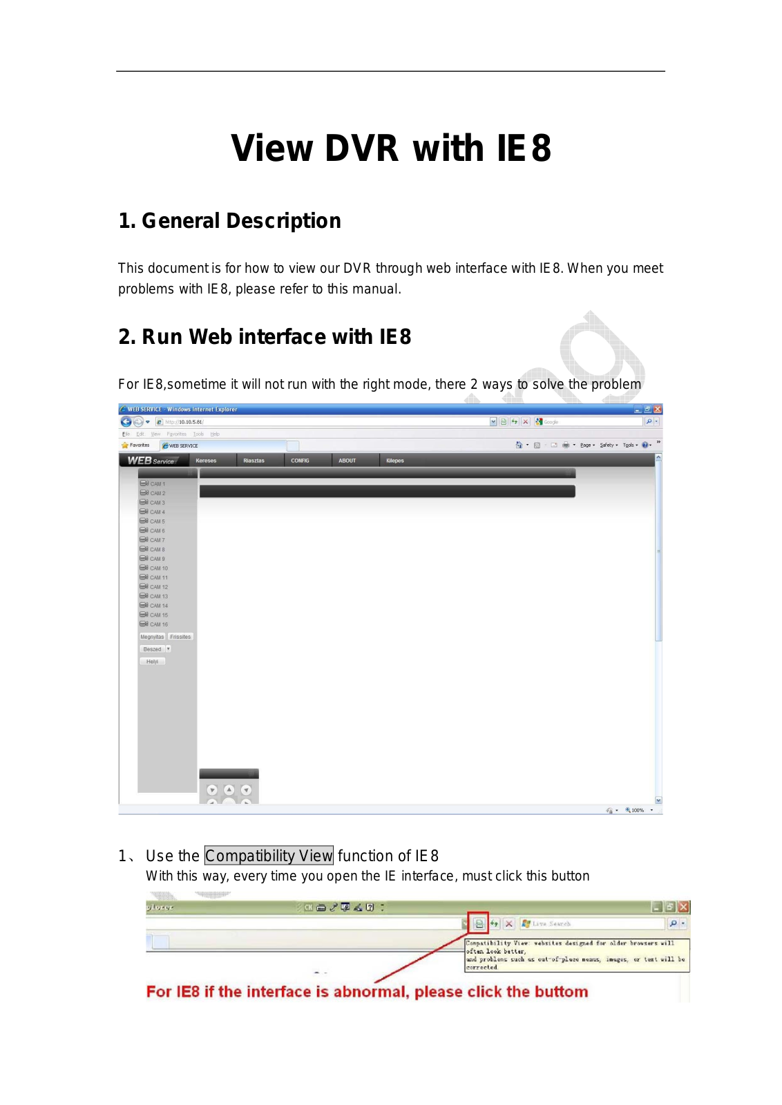 Dahua View DVR User Manual