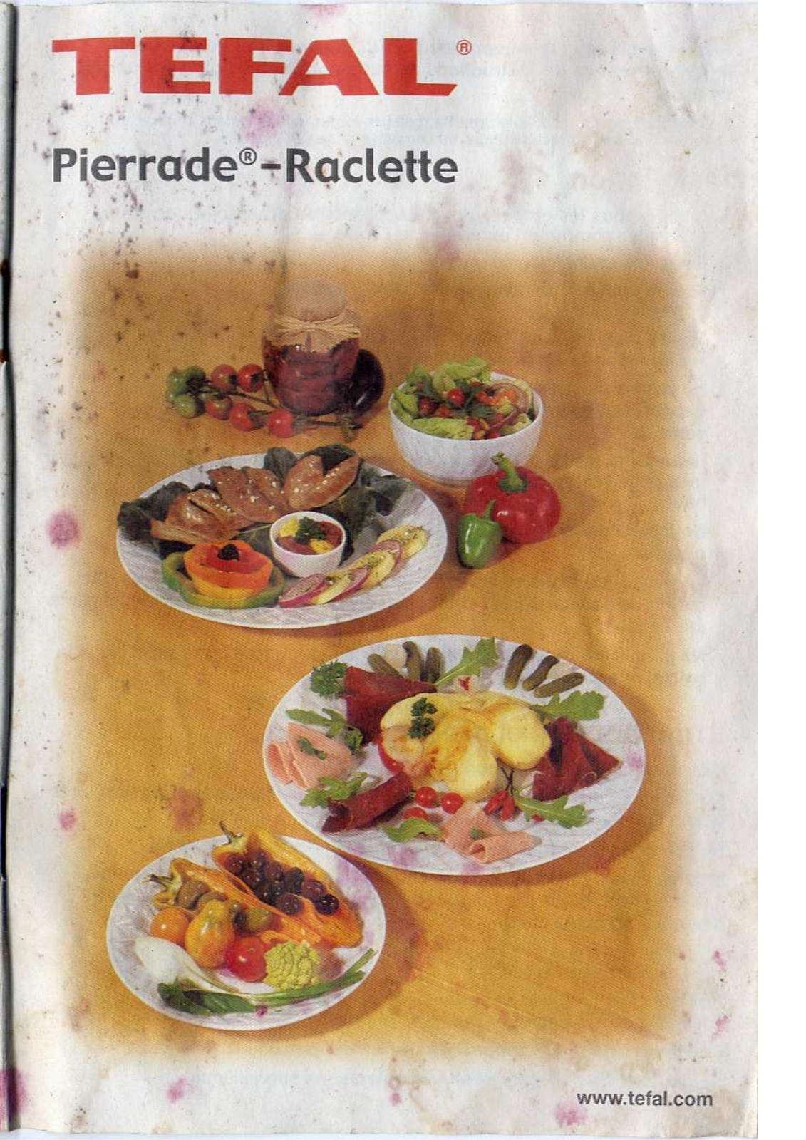 Tefal PIERRADE, RACLETTE User Manual