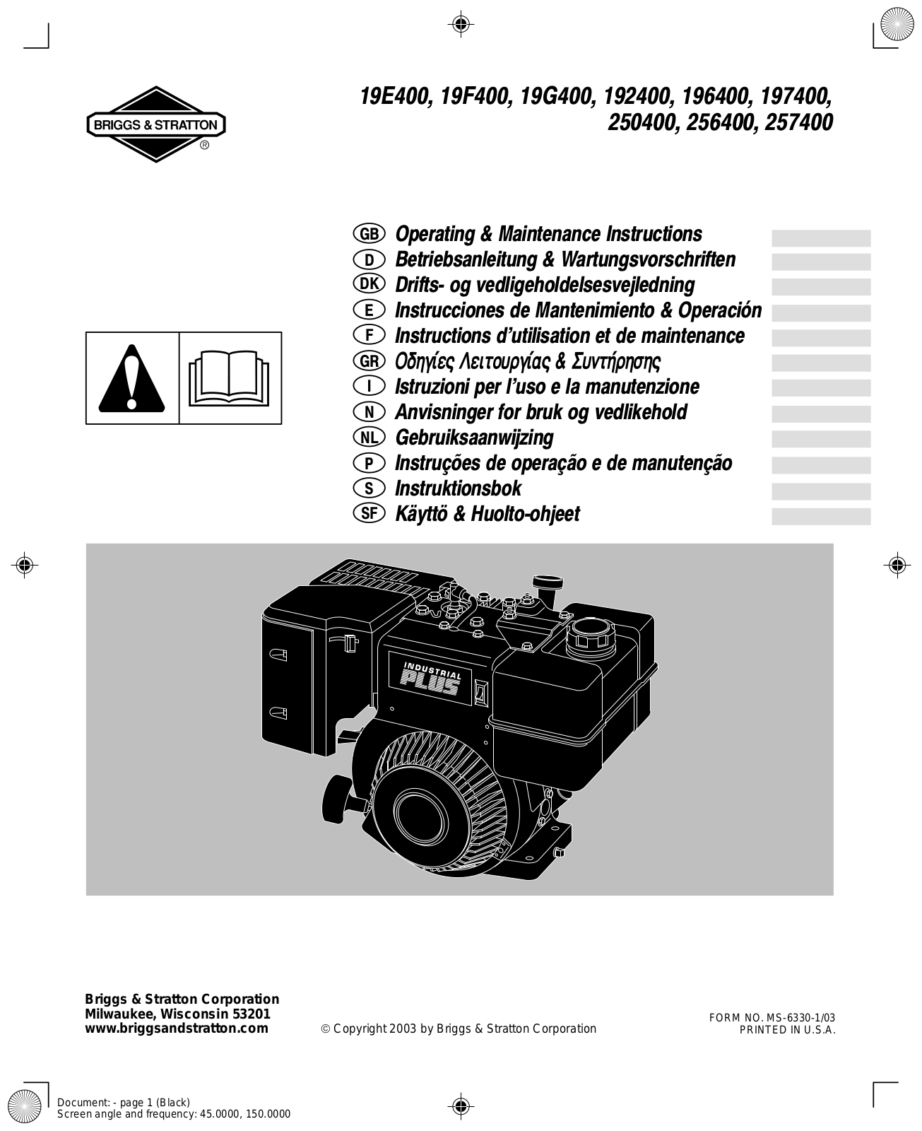 Briggs & Stratton 19F400, 19E400, 192400, 19G400, 250400 User Manual