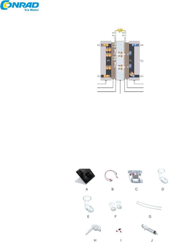 Horizon FCJJ-16 User guide