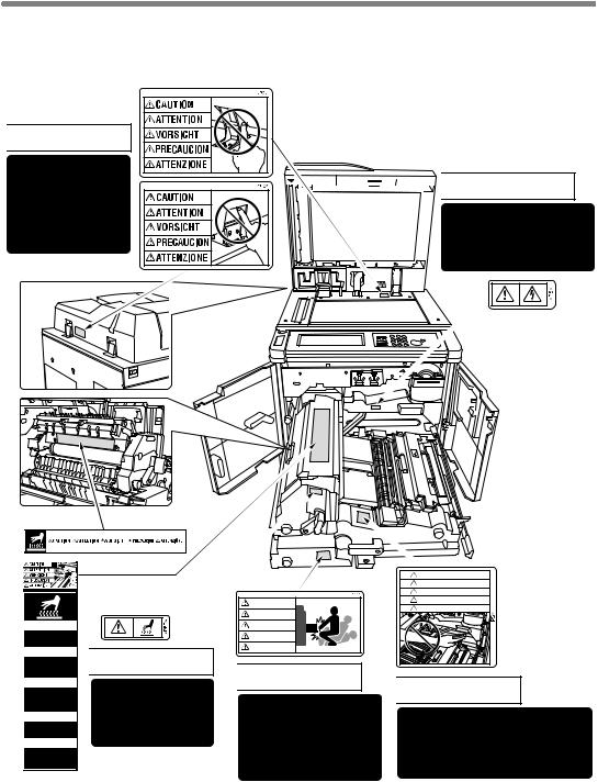 Konica minolta 7165 User Manual