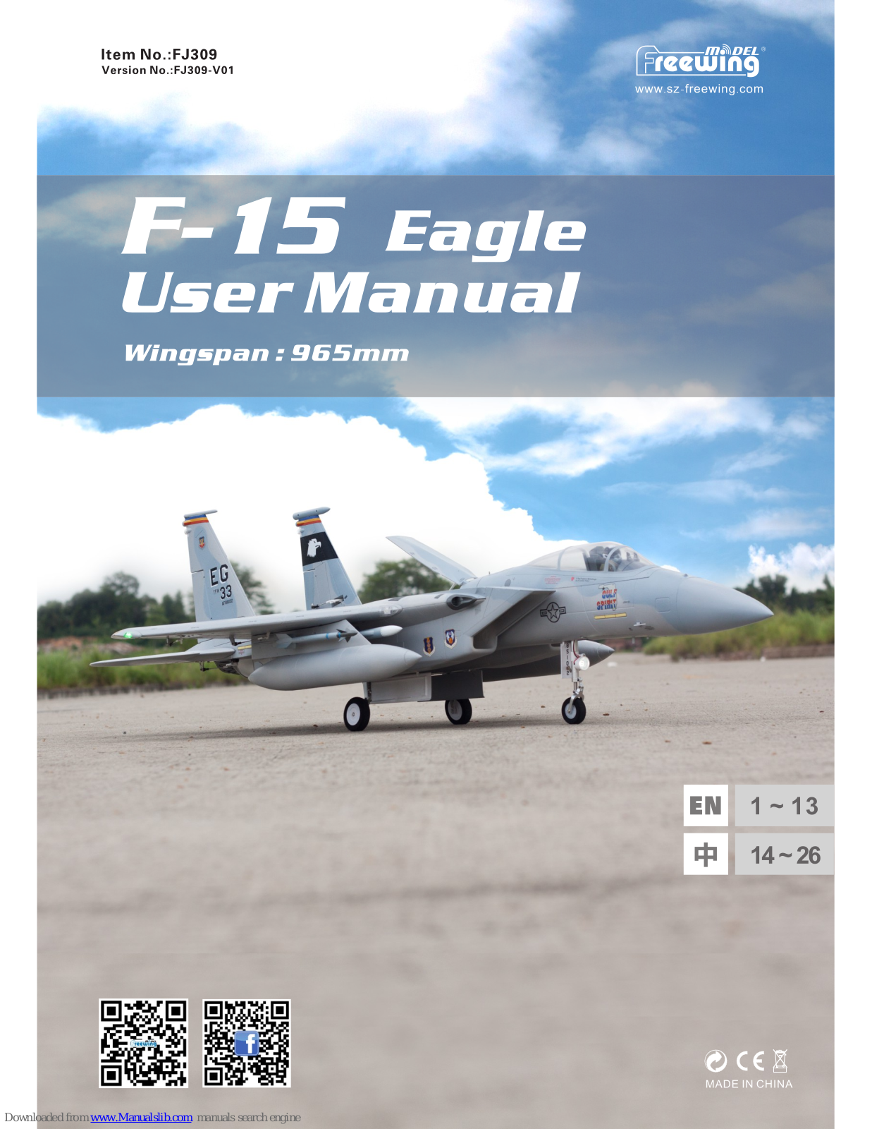 Freewing F-15 Eagle FJ309 User Manual