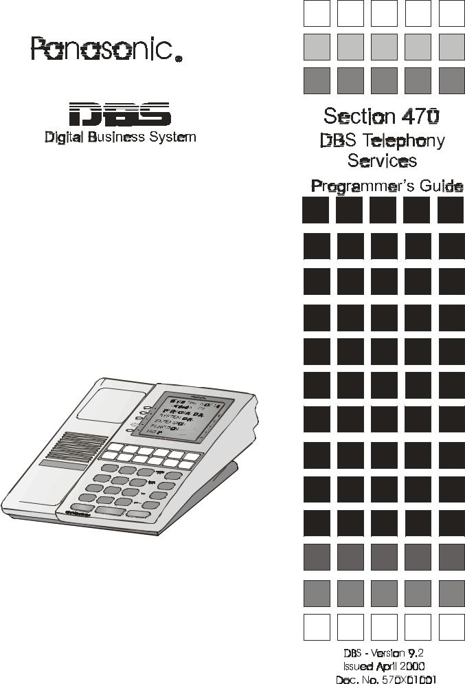 Panasonic DBS Section 470 Guide