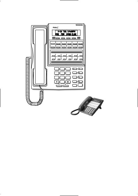 NEC DS2000, DS1000 User Manual