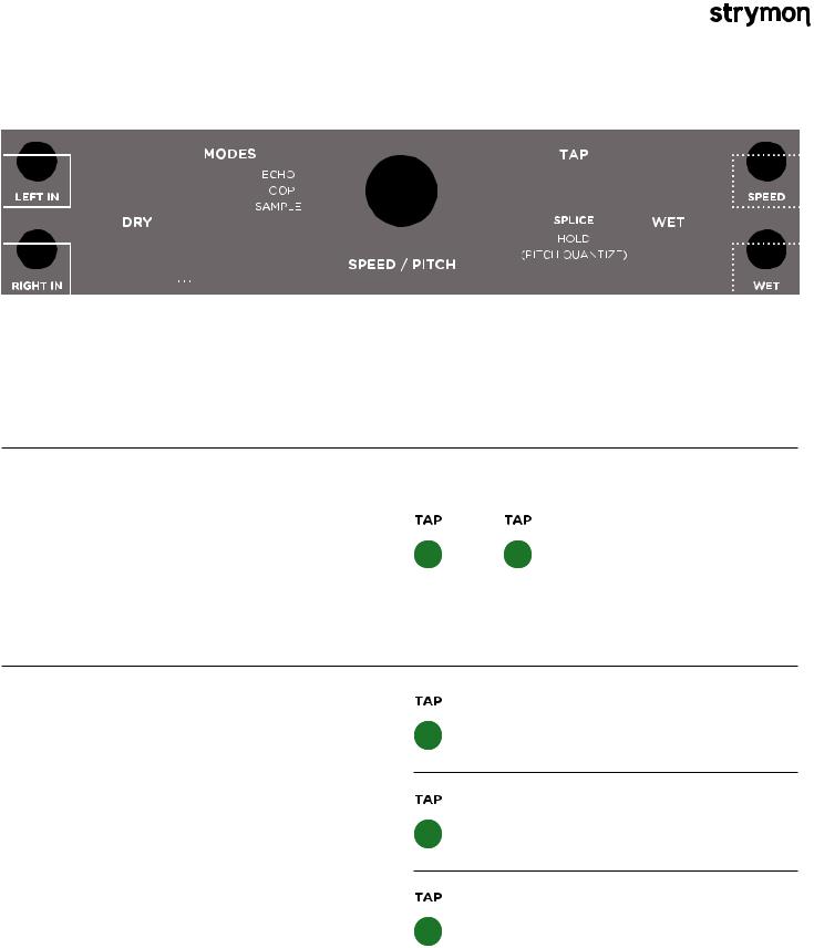 Strymon Magneto User manual