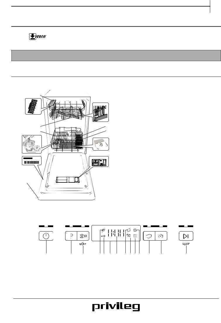 PRIVILEG RSBC 3M19 X Daily Reference Guide