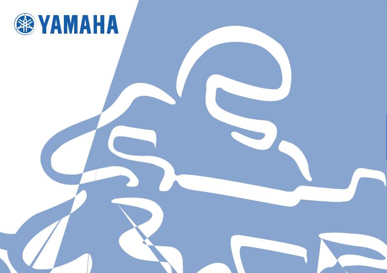 Yamaha FZ6-S Manual