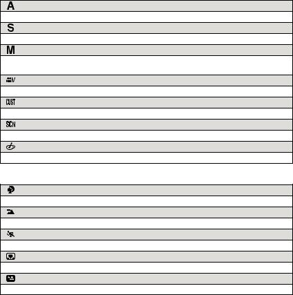 Panasonic DMCFZ48 User Manual