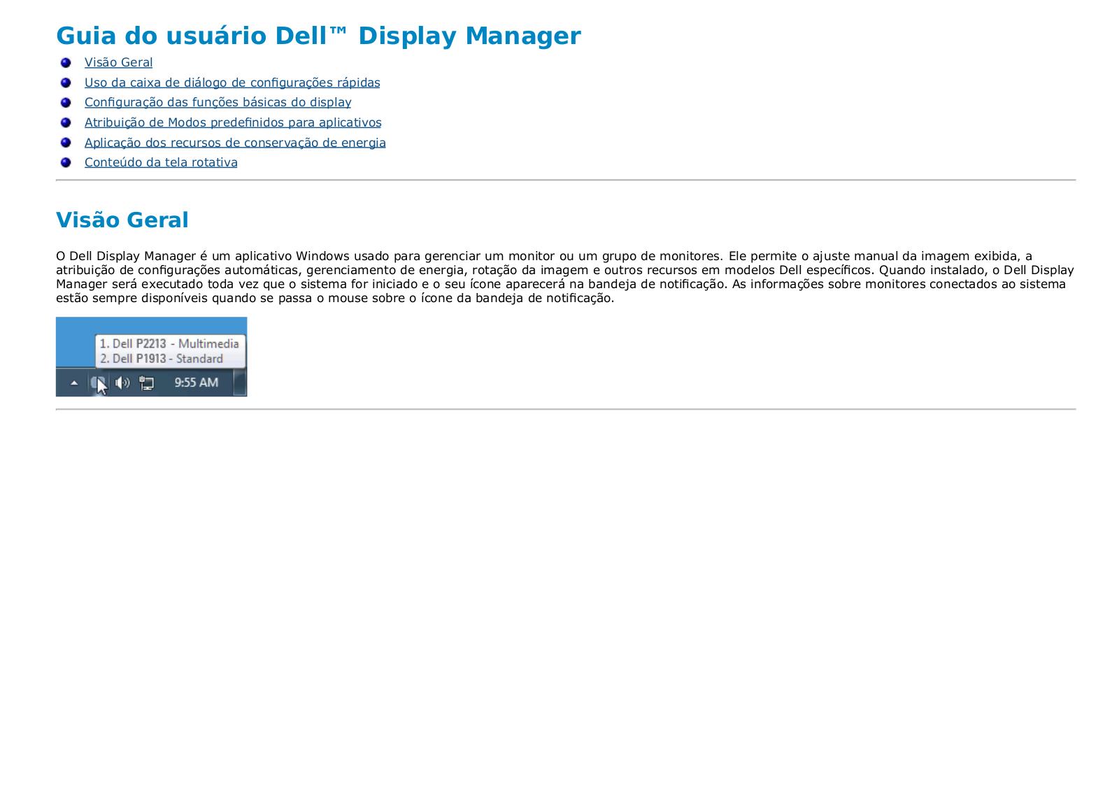 Dell P1913 User Manual