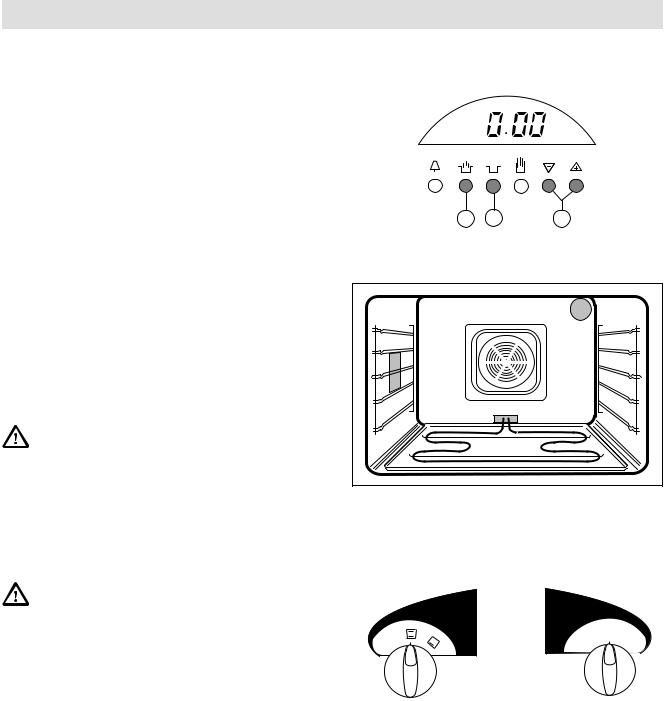 AEG EBGL3.1ZXM, EBGL3ZXM User Manual