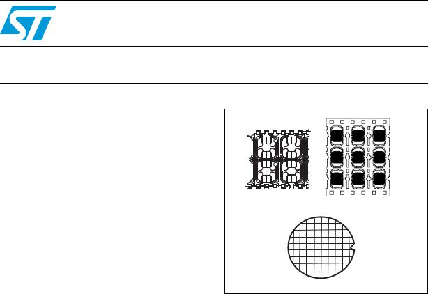 ST ST19NR66 User Manual