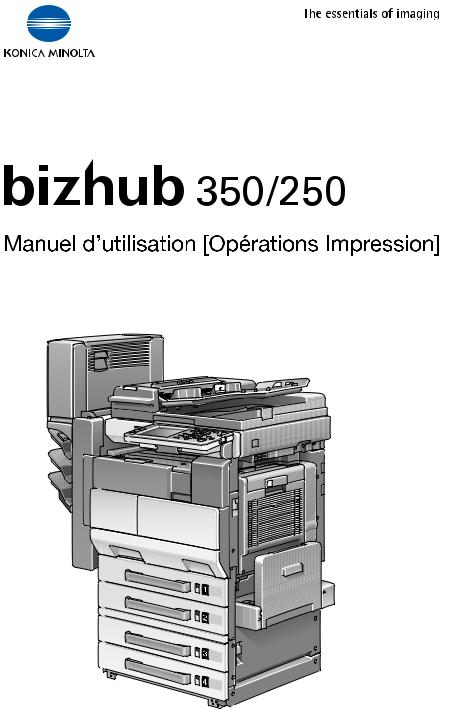 Konica minolta BIZHUB 250 PH2, BIZHUB 350, BIZHUB 250 Manual