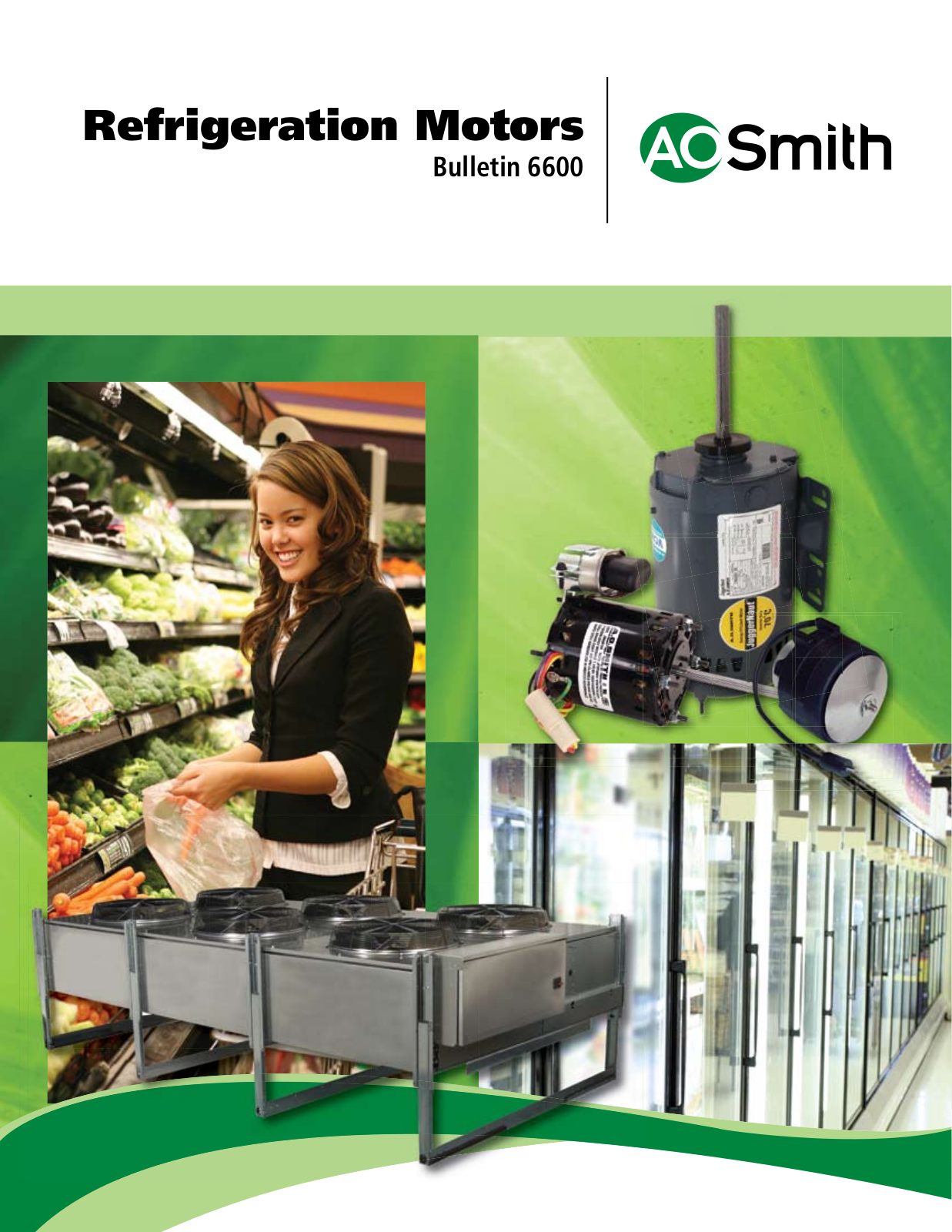 A. O. Smith 6600 User Manual