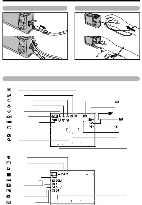 Fujifilm FinePix F10 User Manual