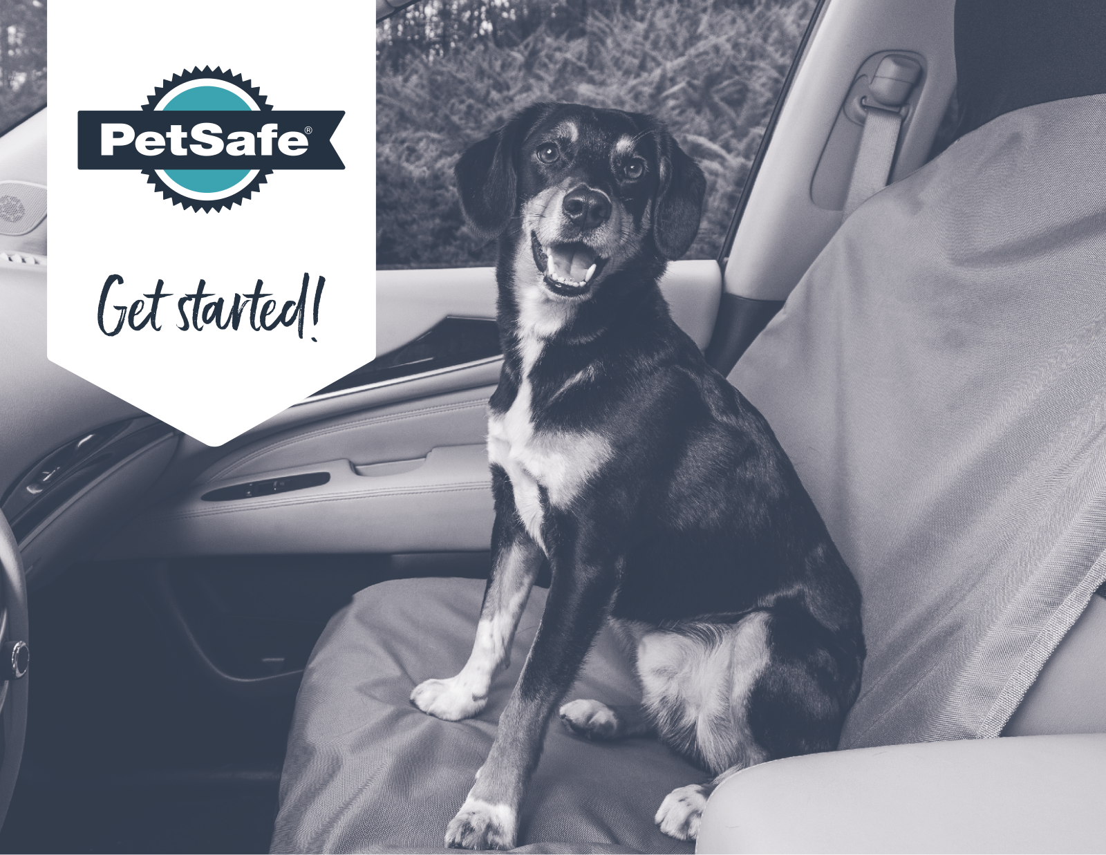PetSafe PSA10133 Installation & Assembly - ManualMachine.com