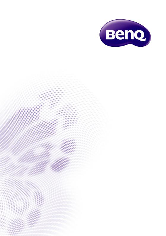 Benq MS506, MS3081, MS504A User Manual