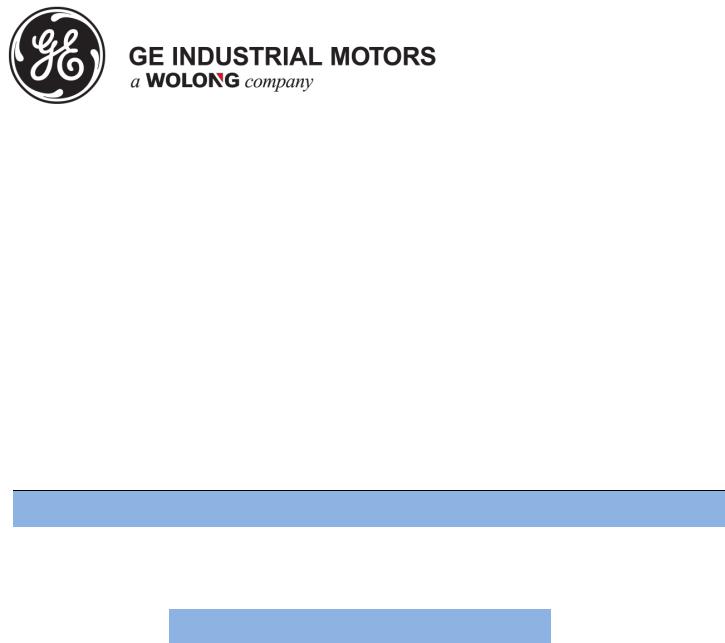 GE Industrial Motors V4419 Product Information Packet