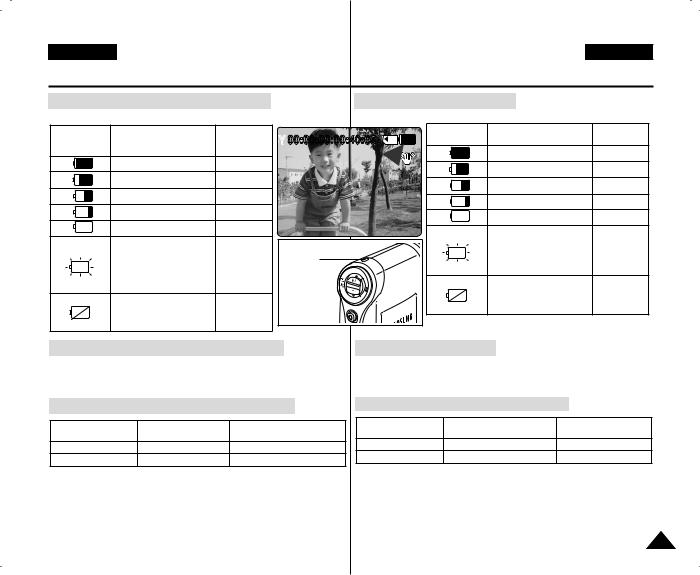 Samsung VP-X300, VP-X300L User Manual