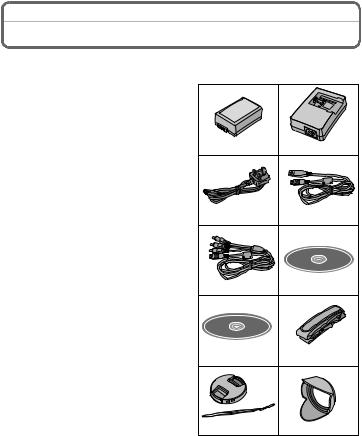 Panasonic DMCFZ100 User Manual