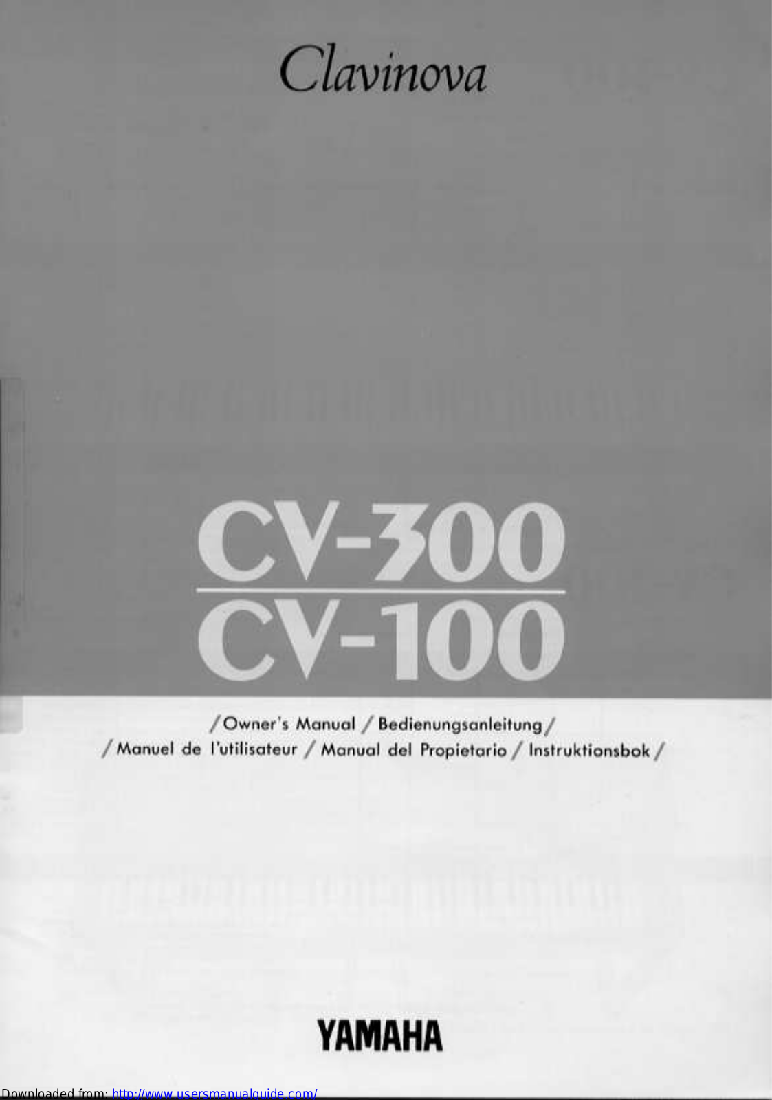 Yamaha Audio CV-300, CV-100 User Manual