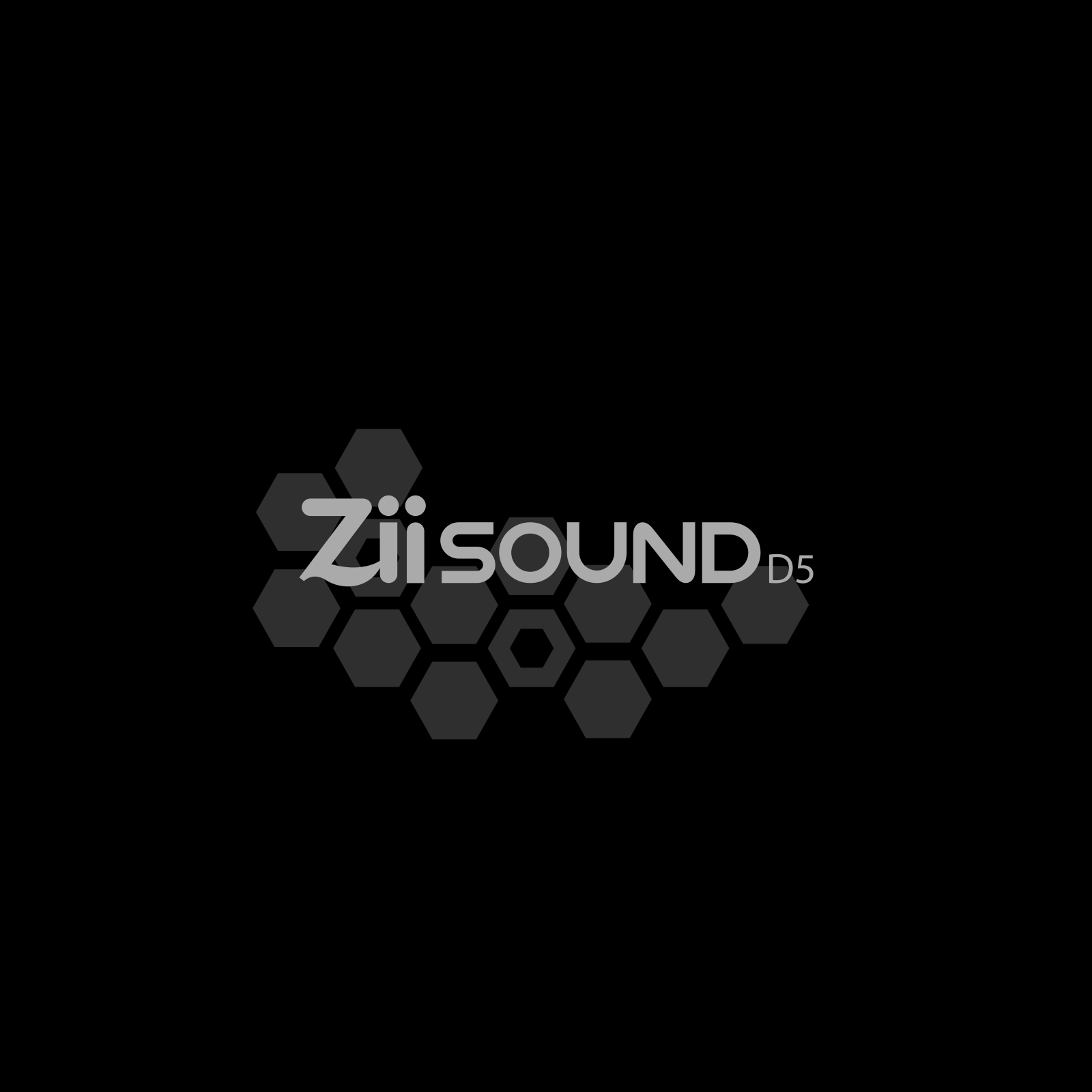 Ziisound D5 User Manual