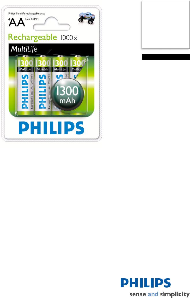 Philips R6B4A130 User Manual