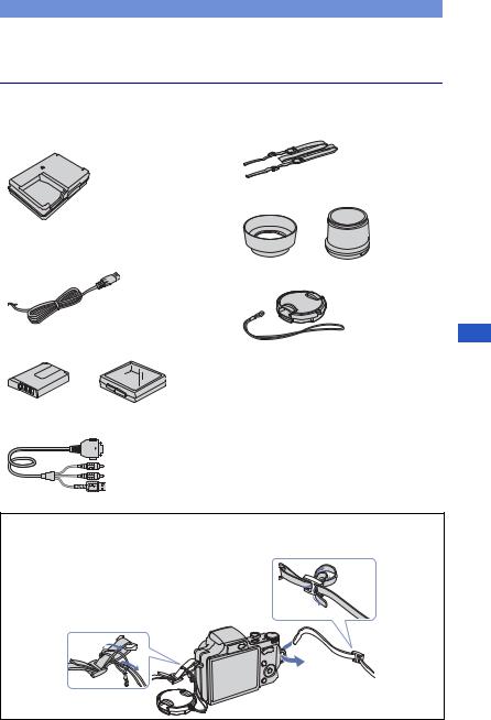 Sony CYBER-SHOT DSC-H10 User Manual