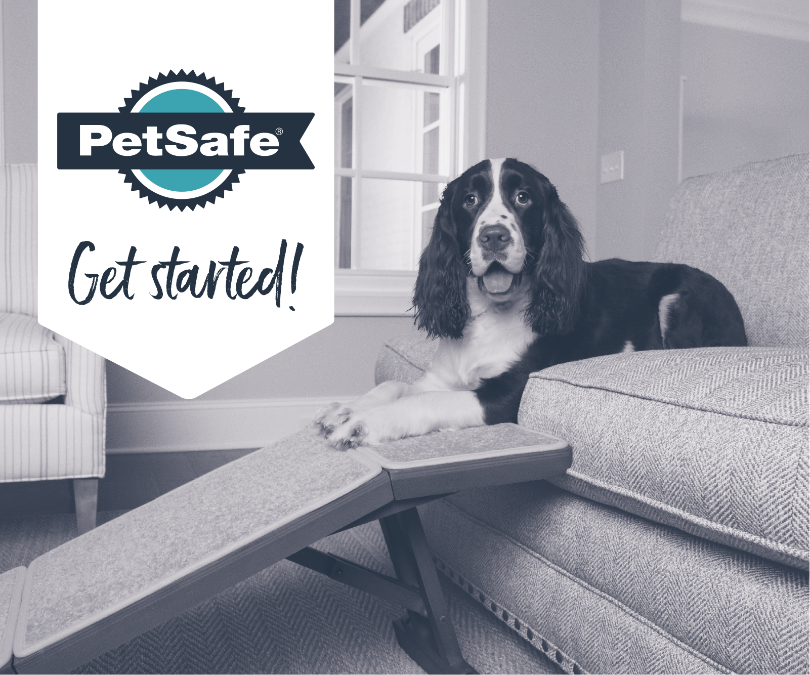 PetSafe PSA10101 Installation & Assembly - ManualMachine.com