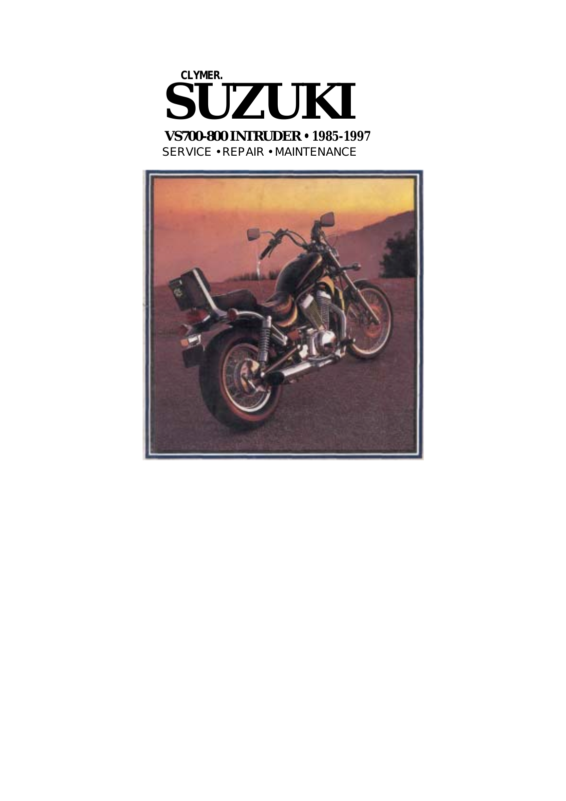 SUZUKI DL 650 V-Strom User Manual