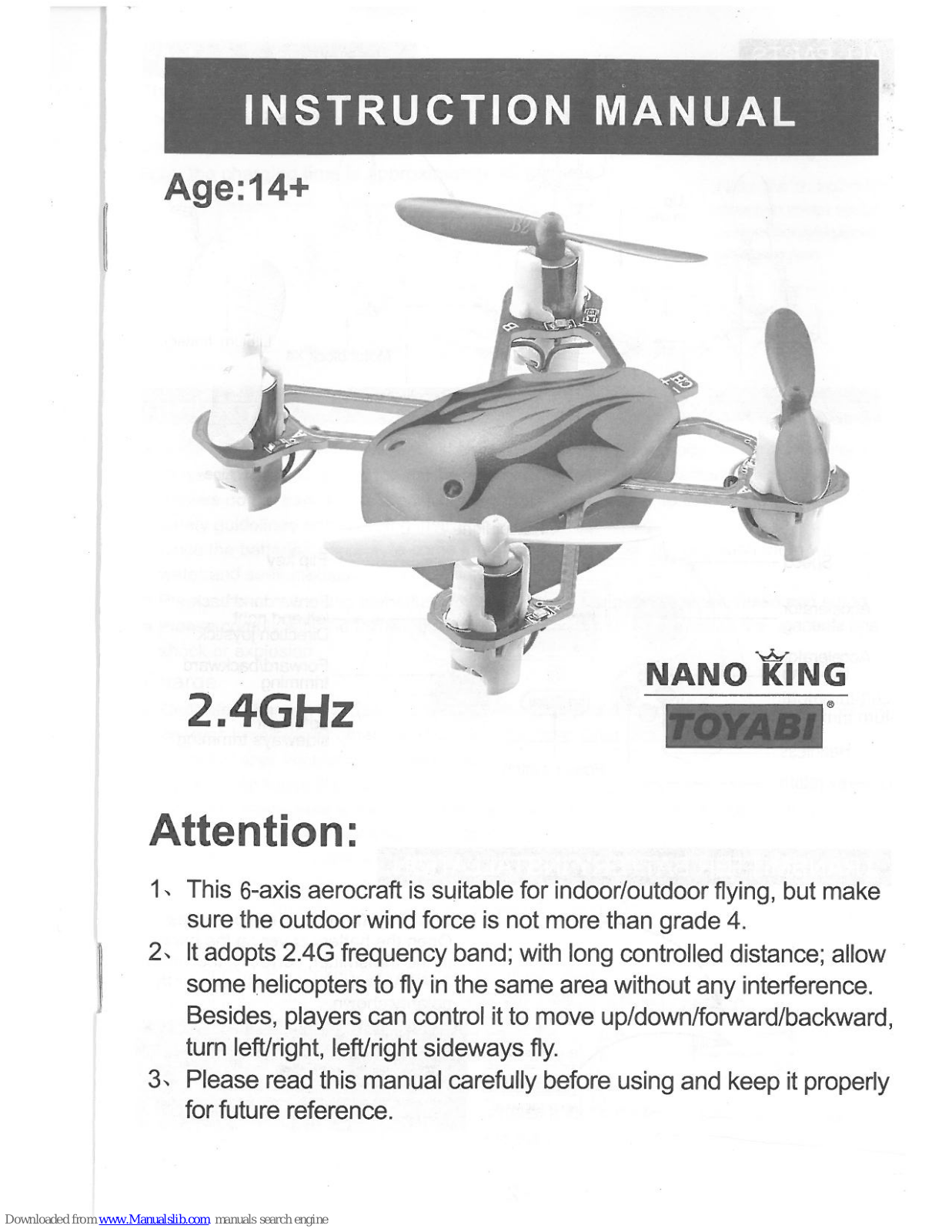 Toyabi Nano King Instruction Manual