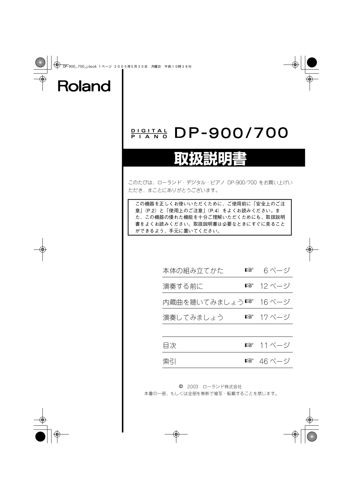 Roland DP-900 ASSEMBLY