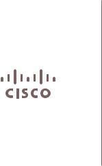 Cisco Systems 60025010 Manual