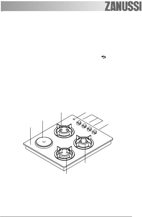 Zanussi ZGG636TN User Manual