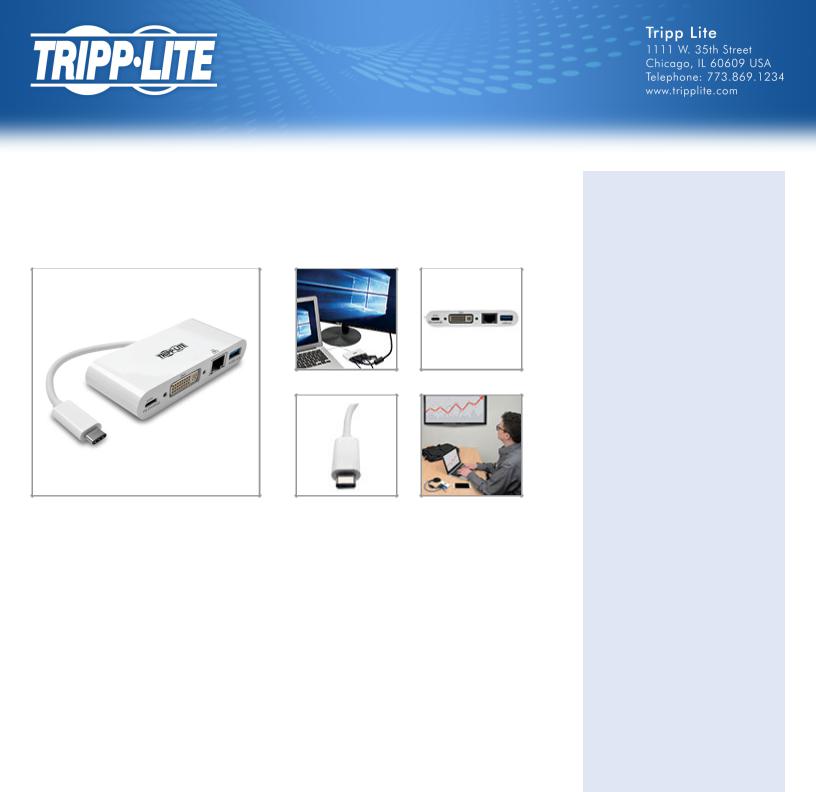 Tripp Lite U444-06N-DGU-C Datasheet