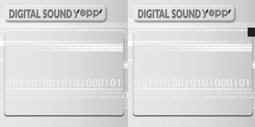 Samsung YP-T5H, YP-T5V User Manual