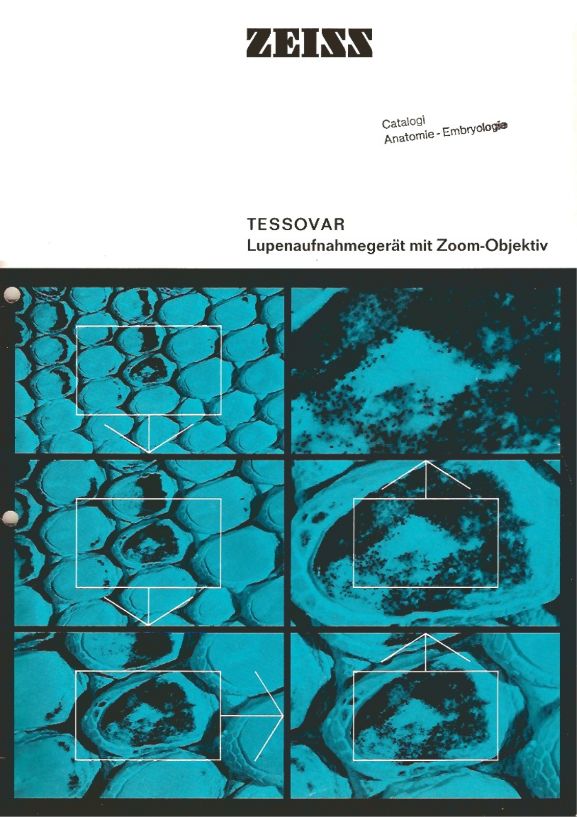 Zeiss Tessovar User Manual