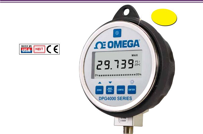 Omega Products DPG4000-100 Manual