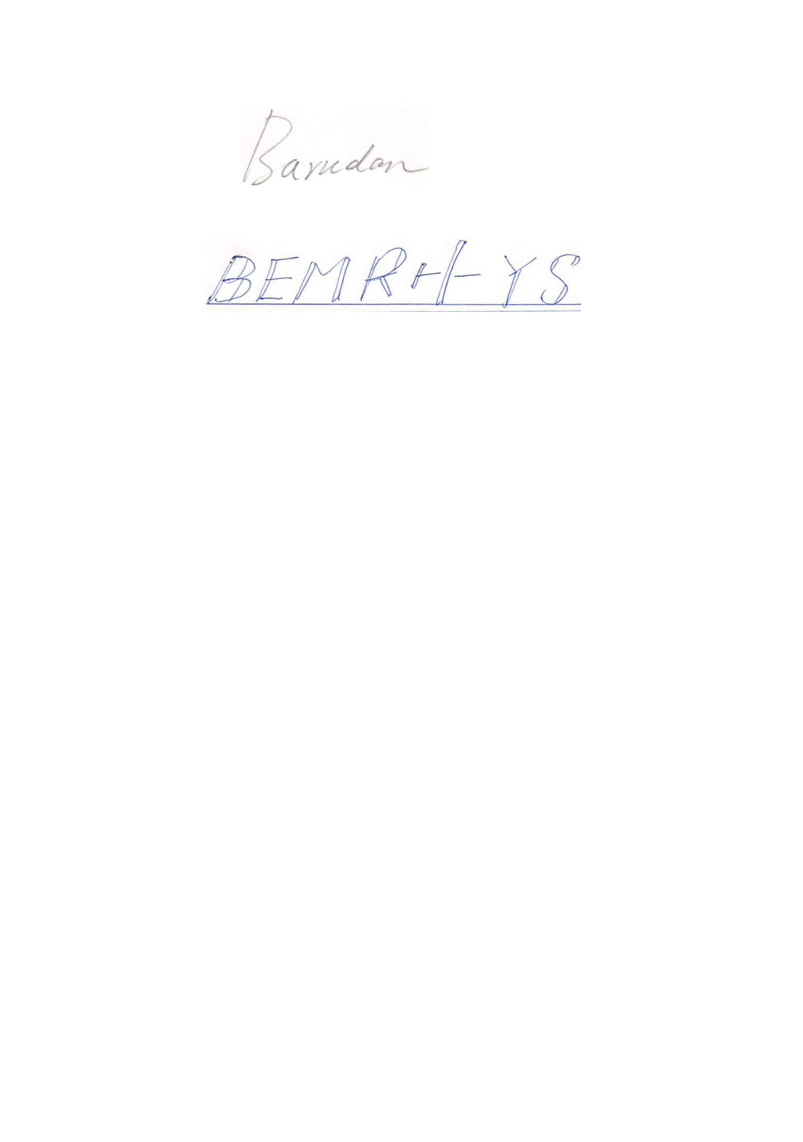Barudan BEMRH-YS User Manual - ManualMachine.com