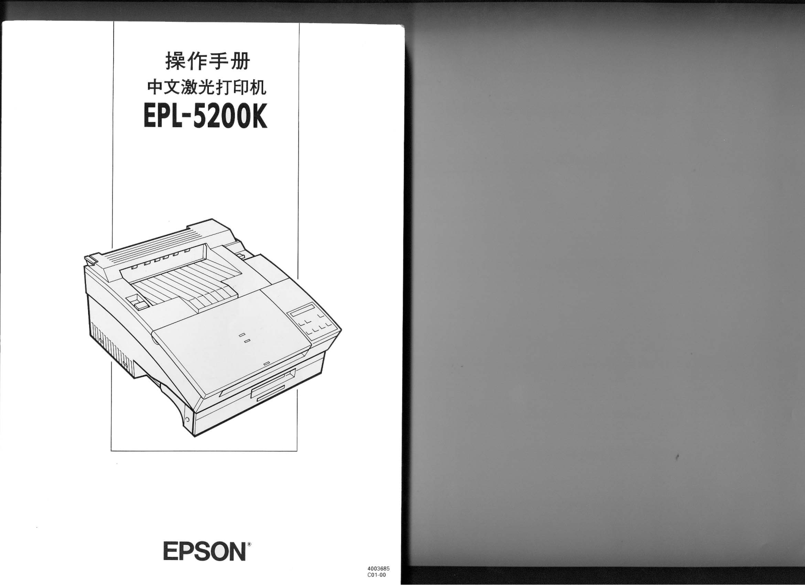 Epson EPL-5200 K User Manual