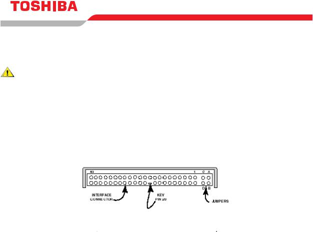 Toshiba MK3021GAS User Manual