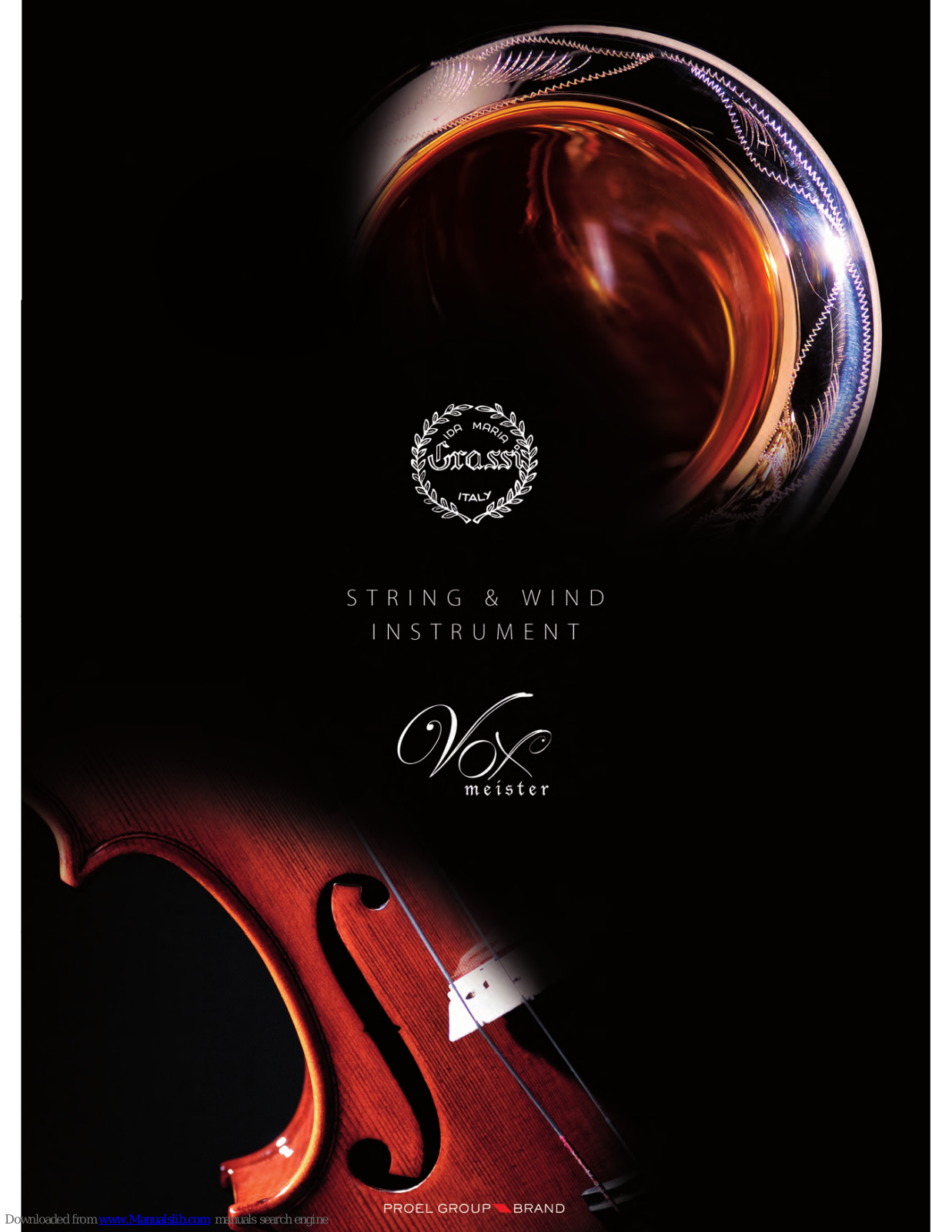 PROEL STRING AND WIND INSTRUMENT Brochure - ManualMachine.com