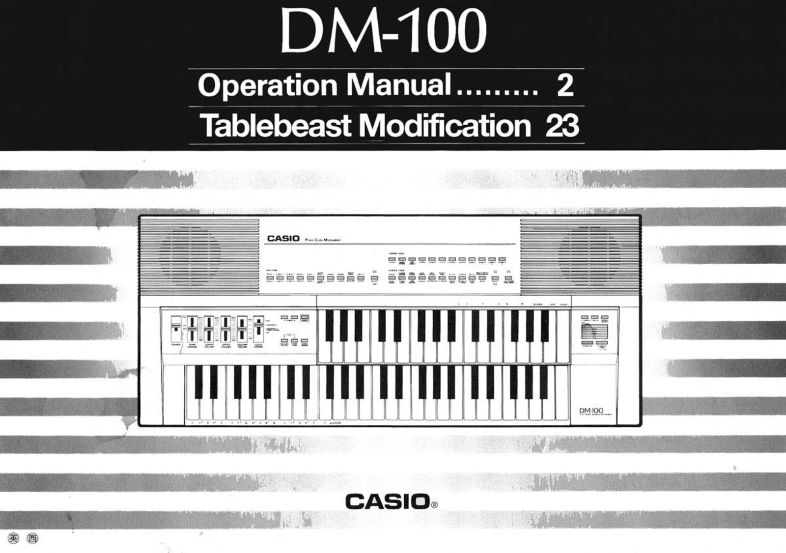 Casio DM-100 User Manual